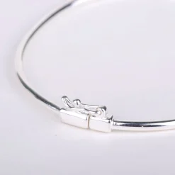 Armband hinge