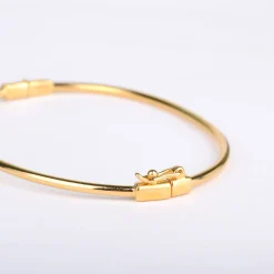 Armband hinge