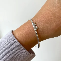 Armband hinge