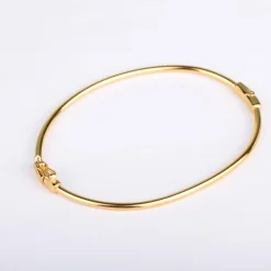Armband hinge
