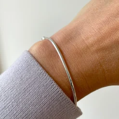 Armband hinge