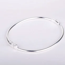 Armband hinge