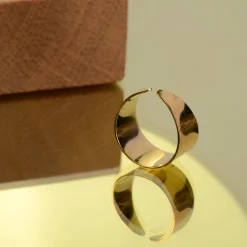 B2B Ring aida