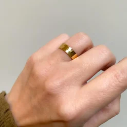 B2B Ring Robin of Loxley