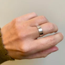 B2B Ring Robin of Loxley