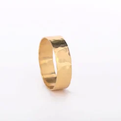 B2B Ring Robin of Loxley