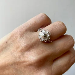 B2B Ring zeeuws