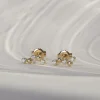 Oorbel 14k constellation