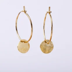 Oorbellen bubbles hoop small