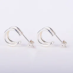 Oorbellen double hoop