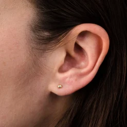 Oorbellen 14k ball