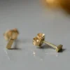 Oorbellen 14k grounding