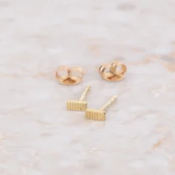 Oorbellen 14k grounding
