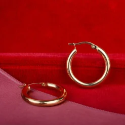 Oorbellen 14k notre dame