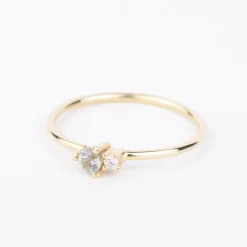 Ring 14k golden duo