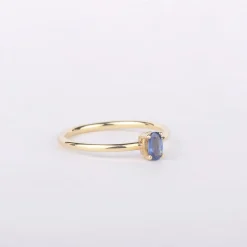 Ring 14k lucious colors