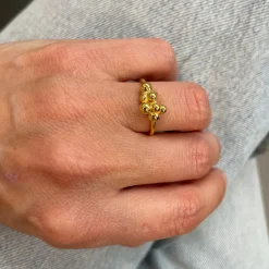 Ring turandot puccini