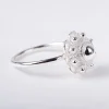Ring zeeuws