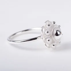 Ring zeeuws