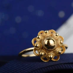 Ring zeeuws