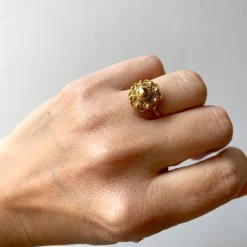 Ring zeeuws