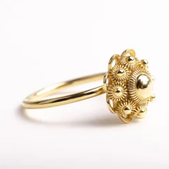 Ring zeeuws