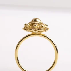 Ring zeeuws